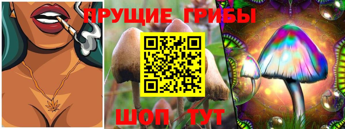 Псилоцибиновые грибы MAGIC MUSHROOMS  купить наркоту  Трёхгорный  Вход с VPN 